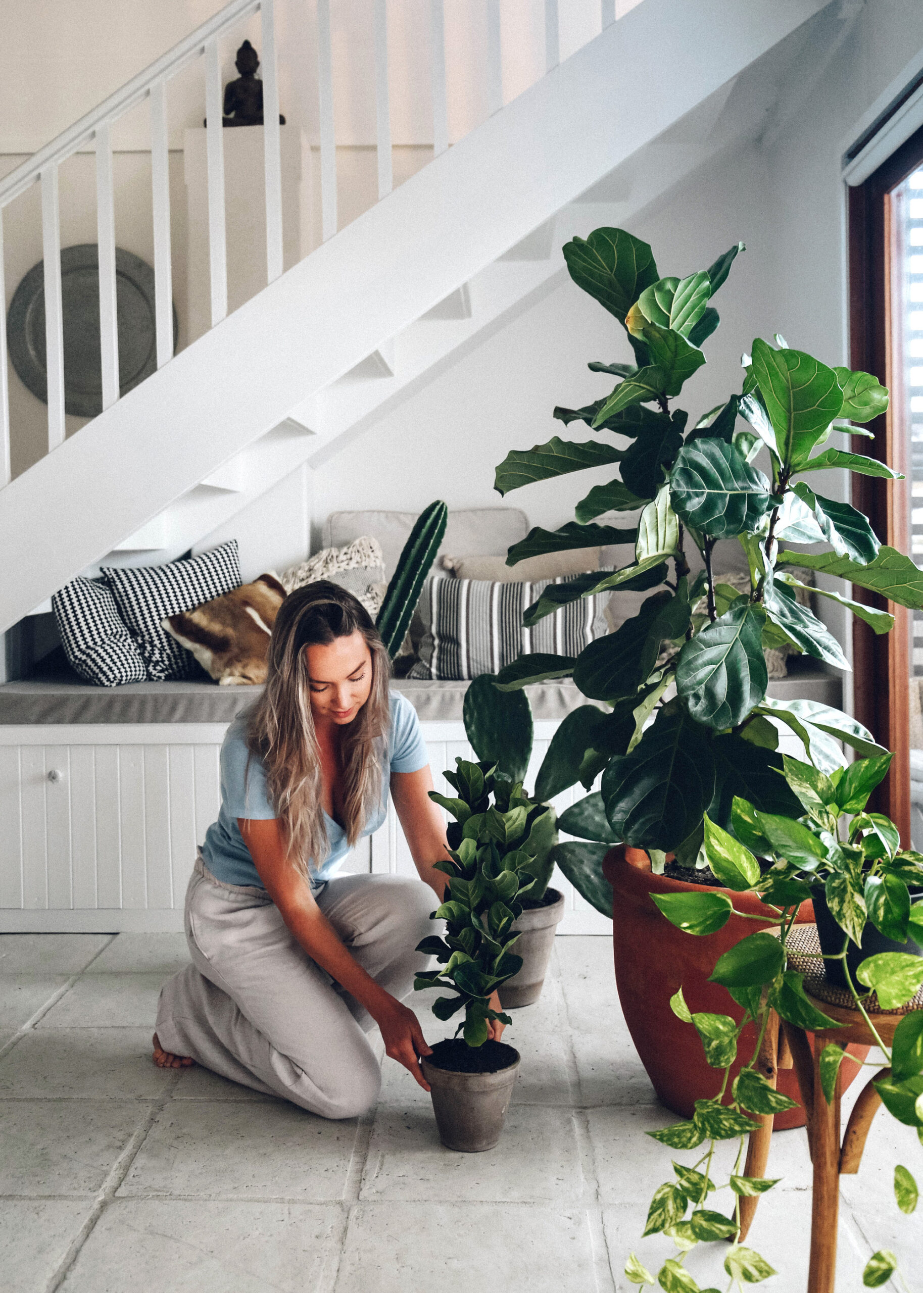 choosing the right plants for your home